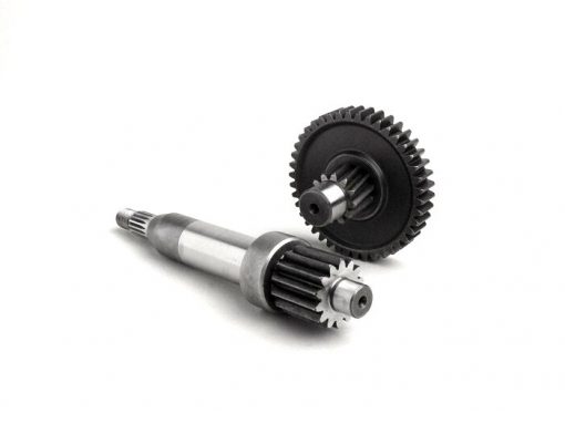 BGM012373 Gearbox primer -BGM- Derbi 50 cc (tipe Hunter) - 14/42 = 1: 3,00