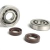 BGM1000 bearing set - oil seal set for crankshaft -BGM ORIGINAL- Piaggio 50 cc 2-stroke