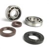 BGM1103 Bearing set - Shaft seal set for crankshaft -BGM ORIGINAL- Morini 50 cc