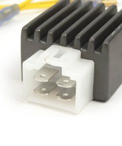 Bộ điều chỉnh điện áp BGM6696 -4-pin BGM PRO 6V AC / DC- vạn năng