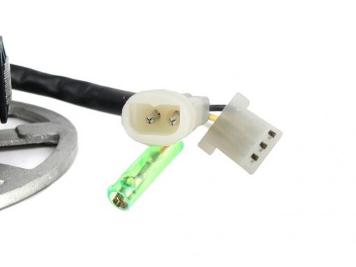SR163030 ontsteking -BGM ORIGINELE grondplaat- CPI 50 ccm (Euro 2, 6 kabels) - Versie 1 (1x enkele stekker, 2x combistekker)