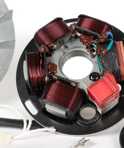 BGM666PXA2 Zündung-Set -BGM PRO 12V Touring- Vespa P125X/P200E (1977-1983, Modelle mit Blinker, Spannungsregler, ohne Batterie) – P125X (VNX1T), P150X (VLX1T), P200E (VSX1T)