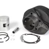 Zylinder -BGM ORIGINAL 200 ccm 12PS- Vespa Rally 200 (VSE1T), P200E (VSX1T), PX200, PX200E, PX200E Elestart, PX200E GS, Cosa 200 (VDR1T, VSR1T), Motovespa 200DS, 200DN, TX200, 200 Iris, CLX200 Cosa