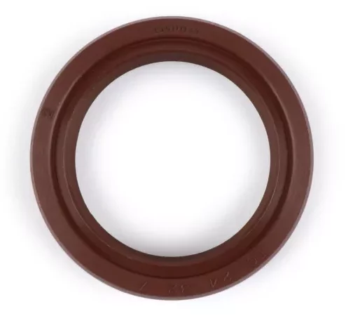 Wellendichtring 24x32x7mm -BGM PRO FKM/Viton® (E10 beständig)- (verwendet für Kurbelwelle Lichtmaschinenseite Umrüstung auf ETS Vespa V50, V90, SS50, SS90, PV125, ET3, PK S, PK XL)