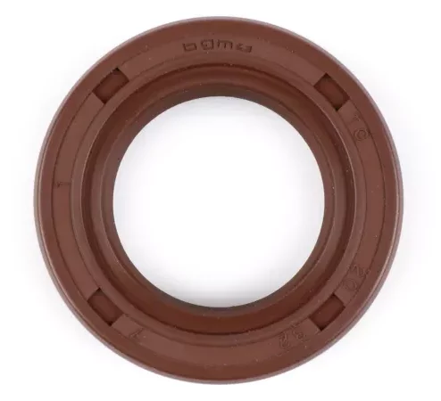 Wellendichtring 20x32x7mm -BGM PRO FKM/Viton® (E10 beständig)- (verwendet für Kurbelwelle Lichtmaschinenseite Vespa PK XL – Antriebseite Piaggio Leader 125-200 ccm, Piaggio Quasar 250-300 ccm)