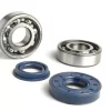 Lagersatz – Wellendichtringsatz für Kurbelwelle -BGM ORIGINAL (SKF 6204/C4 Metallkäfig)- Minarelli 50 ccm