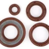 Wellendichtringsatz Motor -BGM PRO, FKM/Viton® (E10 beständig)- Vespa Smallframe 20mm – PK50 XL, PK50 XL2, PK125 XL, HP3/HP4