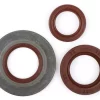 Wellendichtringsatz Motor -BGM PRO, FKM/Viton® (E10 beständig) Metall, braun (extra flach, 3.5mm)- Vespa Largeframe PX Lusso (1984-1993) – Hinterradwellendichtring 30x47x6mm (Aussenmontage) –  PX80, PX125, PX150, PX200, T5 125cc, Cosa