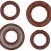 Wellendichtringsatz Motor -BGM PRO, FKM/Viton® (E10 beständig)- Piaggio 125-180 ccm AC/LC 2-Takt – Aprilia SR125, Gilera Runner FX/FXR 125-180, Italjet Dragster 125-180, Piaggio SKR125, SKR150, TPH125, Skipper125, Skipper150, Hexagon LX/LXT 125-180