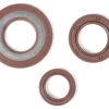 Wellendichtringsatz Motor -BGM PRO, FKM/Viton® (E10 beständig) Gummi, braun- Vespa Largeframe PX Lusso (1984-1986) – PX80, PX125, PX150, PX200, T5 125cc, Cosa – Hinterradwellendichtring 30x47x6mm (Aussenmontage)