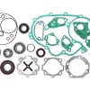 Motorrevisions-Set -BGM PRO FKM (E10 beständig)- Vespa Largeframe Rally180, Rally200 1° (VSE1T -33996, 1972-1977, Femsatronic Zündung)