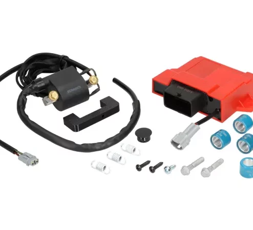 Tuningkit -BGM- mit ECU / CDI Zündbox – Euro 4 – Vespa Primavera 50, Sprint 50, Piaggio Liberty 50 , Zip 50