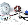 Zündung-Set -BGM PRO 12V Touring elektronisch- Vespa P80X, P125X, P200E (1977-1983, Modelle mit Blinker, Spannungsregler und Batterie) – P80X, PX80E (V8X1T), P125X (VNX1T 82433-), PX125E (VNX2T), P150X/PX150E (VLX1T), P150S (VBX1T), P200E (VSX1T)