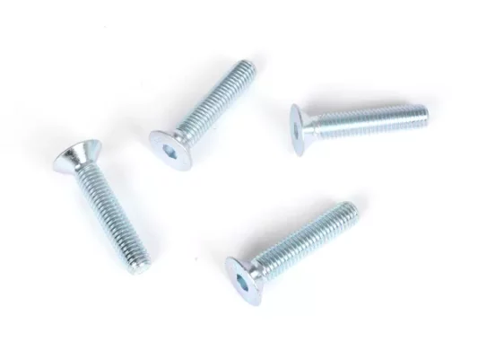 Schrauben-Set -BGM PRO- verwendet für Scheibenbremse BGM Lambretta mit Schlauchlosfelge Aluminium