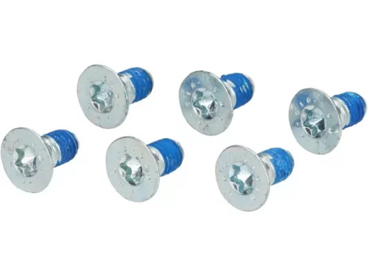 Schrauben-Set -BGM PRO für Vape – M6 x 12mm, TX30- befestigung Lüfterrad auf Polrad